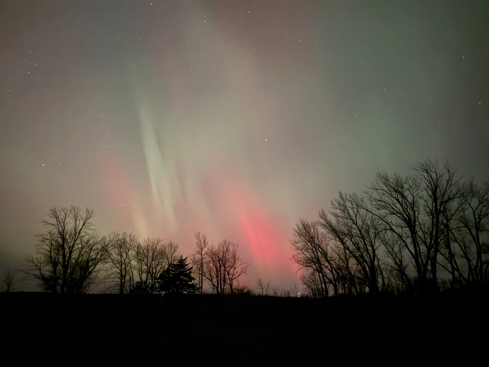 Northern lights over the treeline at Seven Sisters Prairie near Ashby, MN.