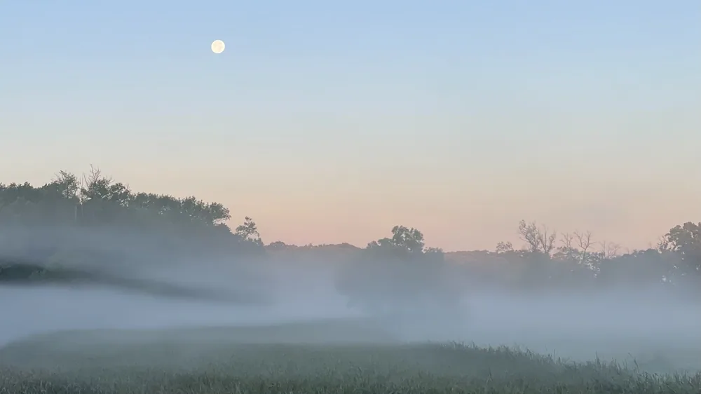 Moon over a misty field at dawn near Ashby, MN.