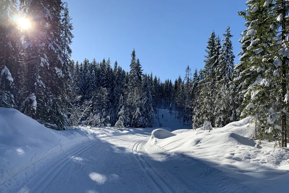 A groomed track after fresh snow.