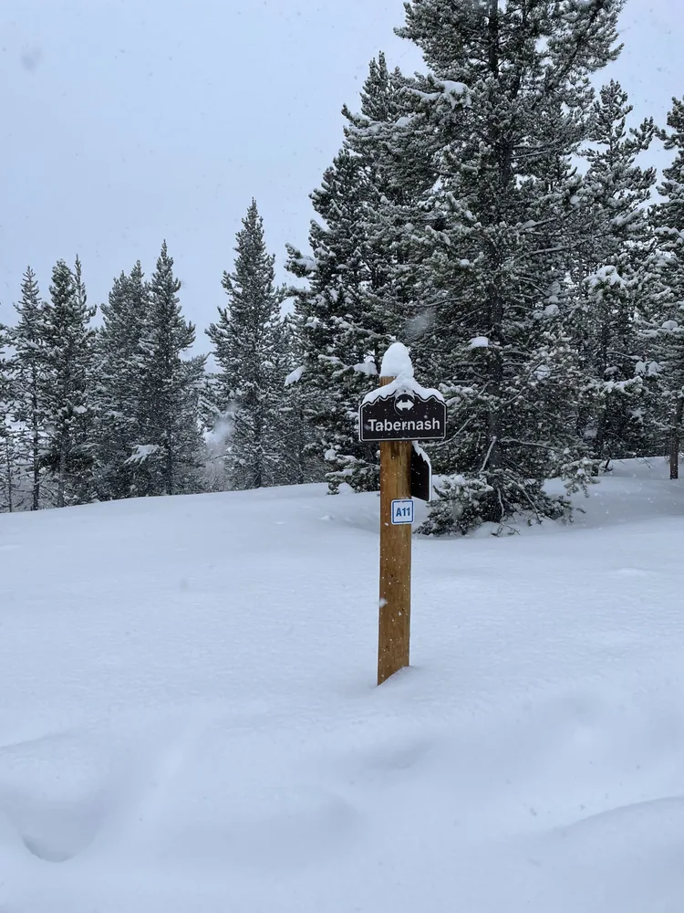 A trail marker after fresh snow.