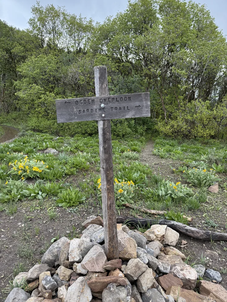 Ogden Overlook, Garden Trail.