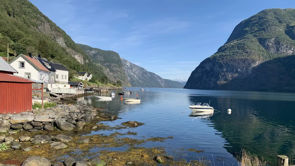 A quiet morning on the fjord.
