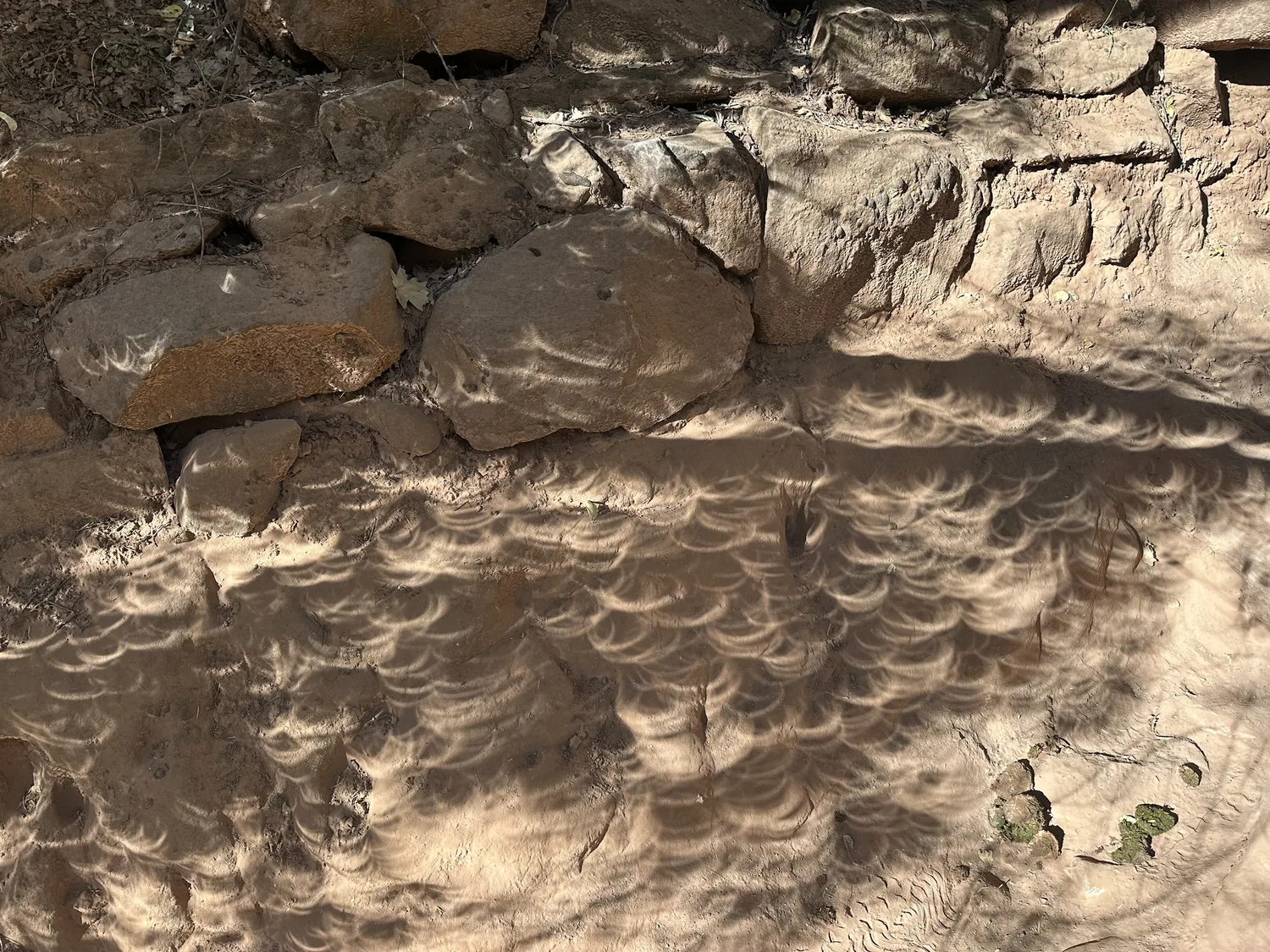 Crescent shadows cast on the rocks during the solar eclipse